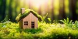 Tiny Homes and Sustainable Living