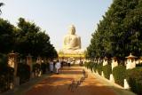 Top Travel & Tours Announces The Launch Of Bodh Gaya Rooms
