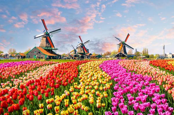 Embrace the Beauty of Spring: Five Must-Visit Destinations - Cover Image