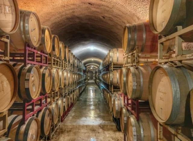 Cape Town's Top 5 Wine Tours for 2020