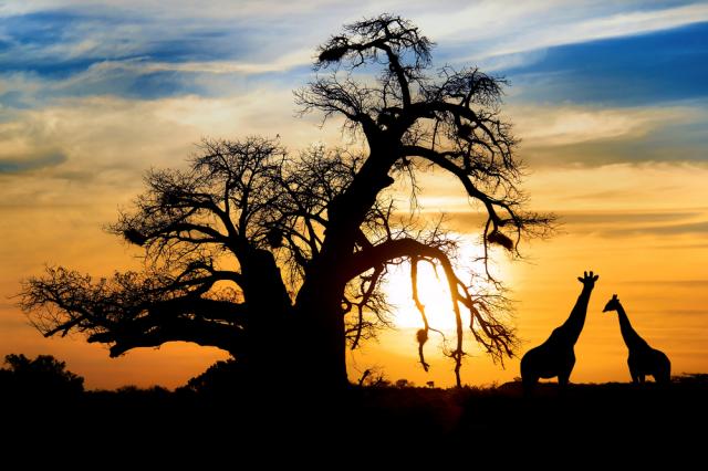 Five Fabulous Reasons to Book a Trip to Southern Africa