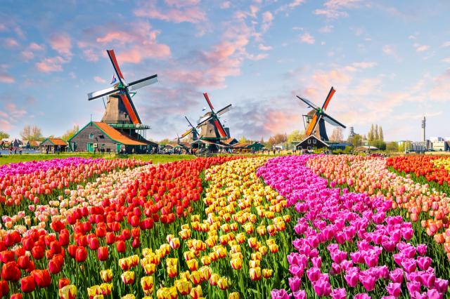 Embrace the Beauty of Spring: Five Must-Visit Destinations