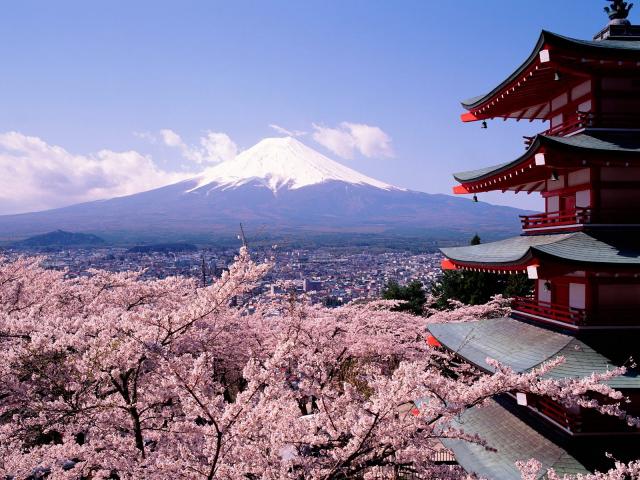 Japan - Colour, Contrast, Culture & Cherry Blossoms 