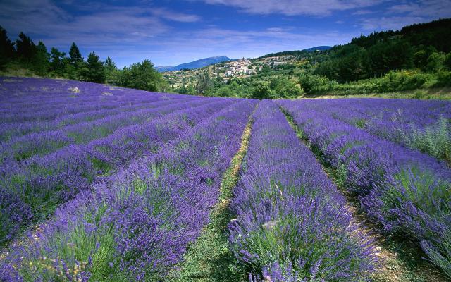 Visiting Provence