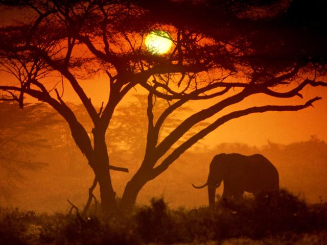 Eco-Tourism in Kenya