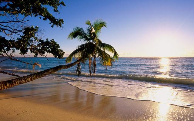 World Class Beaches of the Seychelles