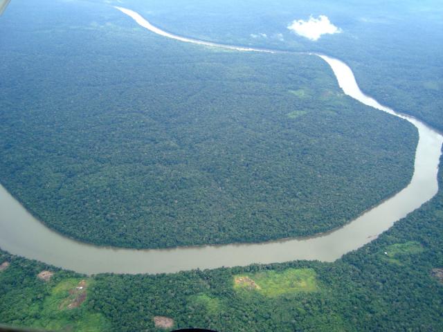  King of the Jungles: The Amazon Basin