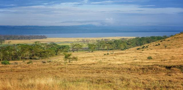 Discover the Beautiful Lake Nakuru National Park 