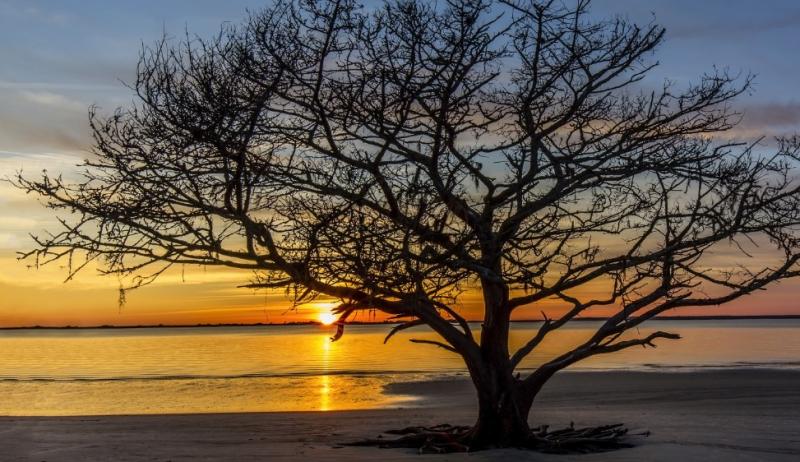 To find your happy place, try spending that well-earned time off on Jekyll Island