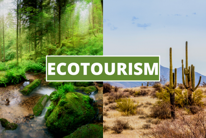 The Top Ecotourism Destinations