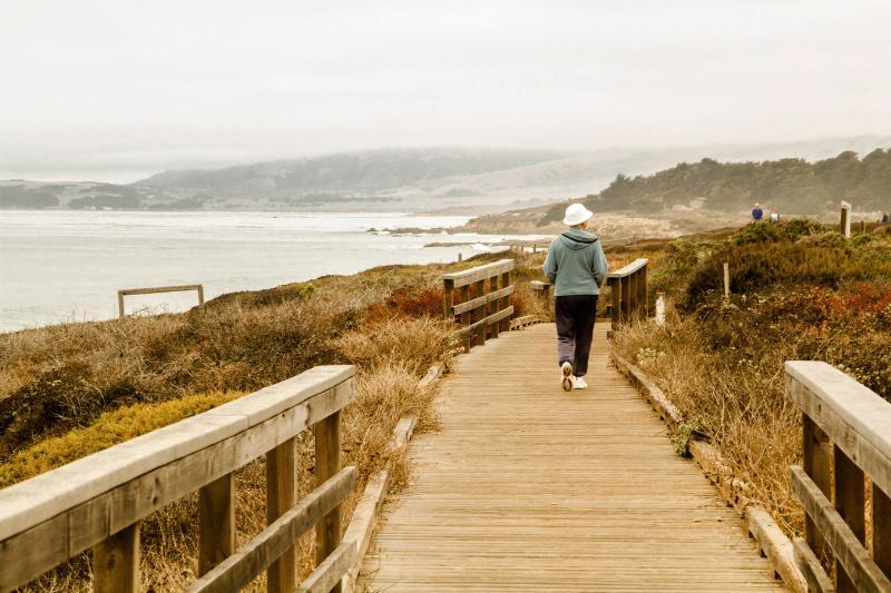 Top 15 Winter Beach and Nature Hikes Along the Calif. Highway 1 Discovery Route