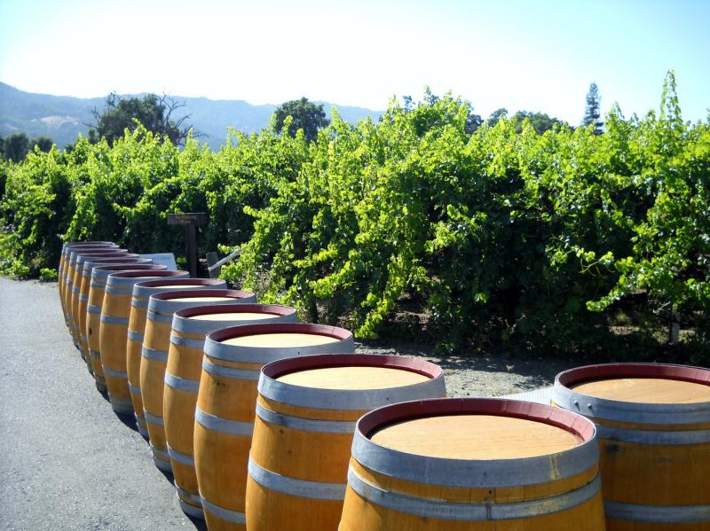 California Wine Edition Offers Insight And Warnings Following 2014 Harvest Report
