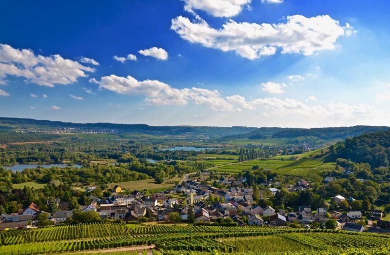 Exploring Luxembourg’s Emerging Wine Region