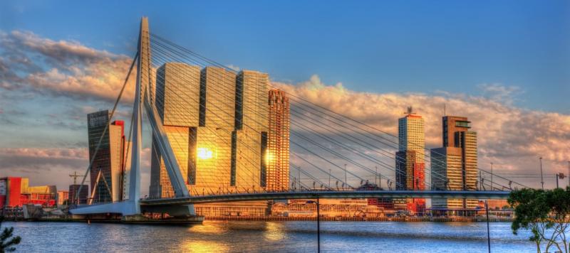 Explore the depths of Rotterdam