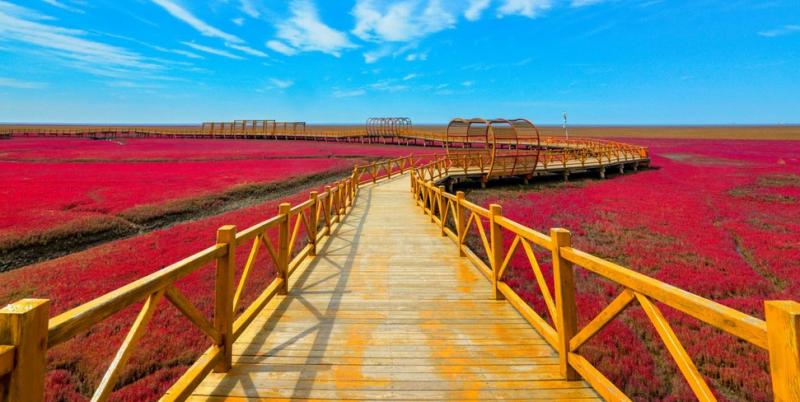 Time to Visit the Spectacular Red Beach